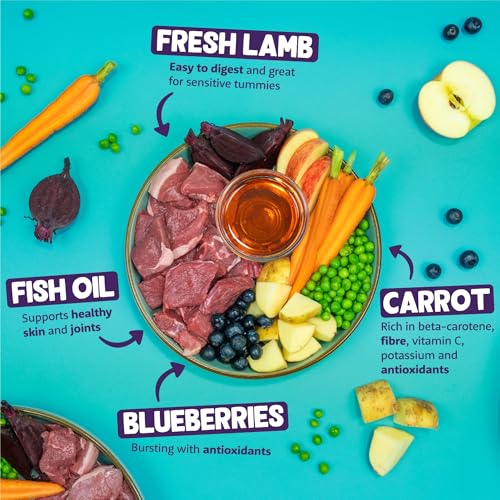 Edgard & Cooper Hundefutter trocken Getreidefrei für Medium Adult Hunde (1kg), frisches Lamm, ausgewogene Ballaststoffe für die Darmgesundheit, Natürliche, hypoallergene Rezeptur, nie Fleischmehl