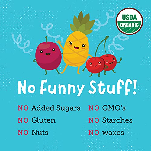 You Love Fruit - Passion Fruit Power Pals All Natural Fruit Snacks, Healthy Snack Pack, Real Fruit! Gluten Free, Non Gmo, Vegan, Fiber Packed, Low Fat, Kosher, Variety Pack, Great For Adding To Gift Box, 1.0 Oz (Pack Of 12) #TOP6