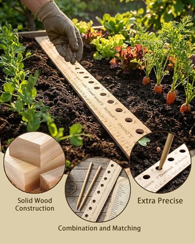 Regla y dibble de madera para jardinería miniatura 3