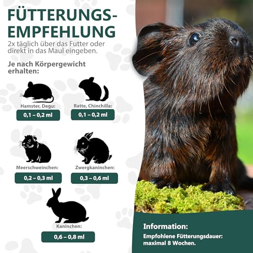 alfavet RodiCare Immun, Doppelpack, Immunstärkung für Kaninchen, Meerschweinchen und Kleinnager, Ergänzungsfuttermittel, 2 x 15ml, Dosierspritze