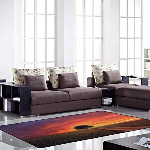 Tapis de sol salon Ruchen pour isoler les pieds du froid sur grand espace 183x122 - 4