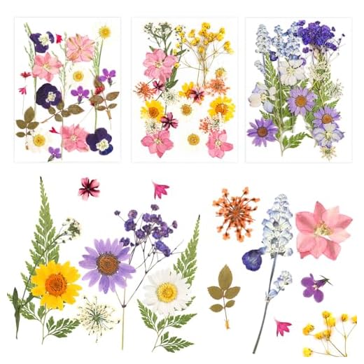 NVIYAM 66 Piezas Conjunto de Flores Secas Naturales Flores Prensadas Secas Naturales Flores Prensadas Reales Manualidades Flores Secas Prensadas Hojas Secas Mixtas DIY Flores Preservada para Resina