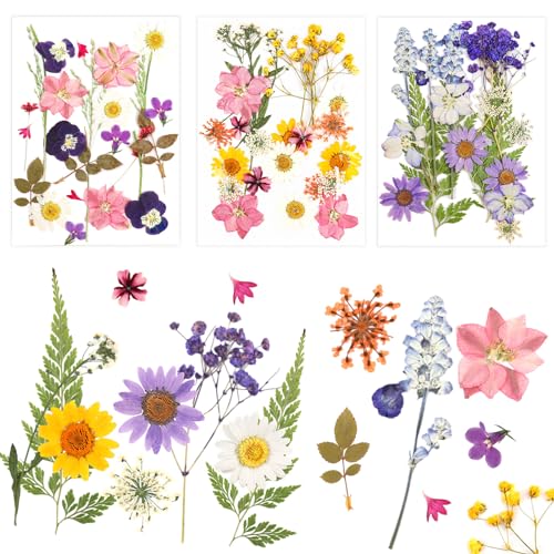 NVIYAM 66 Piezas Conjunto de Flores Secas Naturales Flores Prensadas Secas Naturales Flores Prensadas Reales Manualidades Flores Secas Prensadas Hojas Secas Mixtas DIY Flores Preservada para Resina