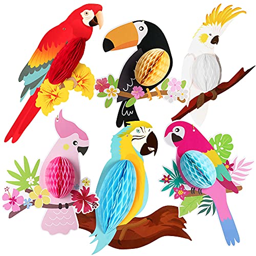 Image of KatchOn, Large Tropical Bird Decorations - 12x5.3 Inch | Jungle Theme Decorations, Luau Party Decorations, Hawaiian Party Decorations | Perfect for Tiki Party, Tropical Birthday, Rainforest Party