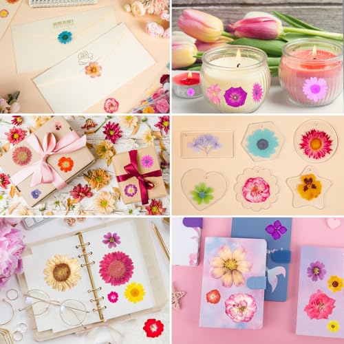 360 stickers de flores prensadas en 20 hojas miniatura 7