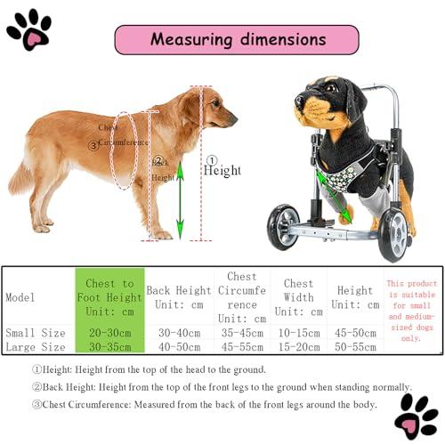 Aide à la mobilité pour chien dysplasique ou blessé aux pattes avant - 3
