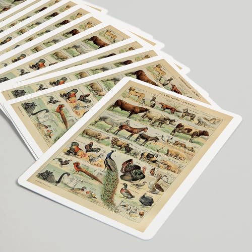Baraja de 52 cartas de poker Lantern Press con arte vintage miniatura 5