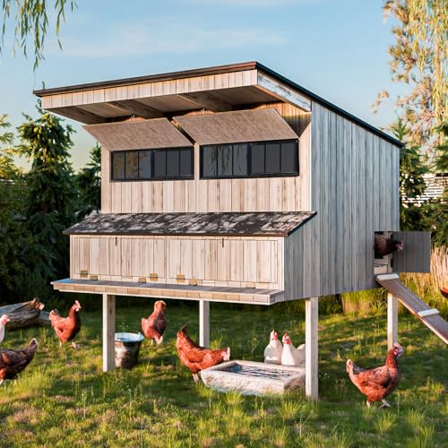 Ventanas de cobertizo 10x29 para renovar gallineros e invernaderos domésticos 6