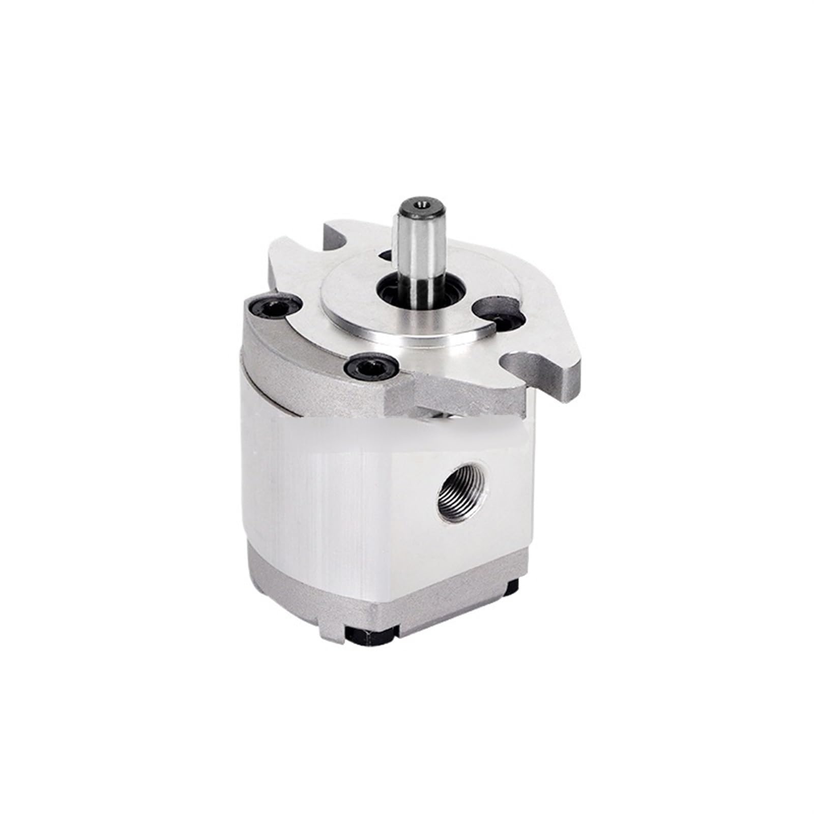 Kxiwlufv One Color Hydraulic Gear Pump High Pressure Oil Hgp-1A(Hgp-1A-F0.8r)