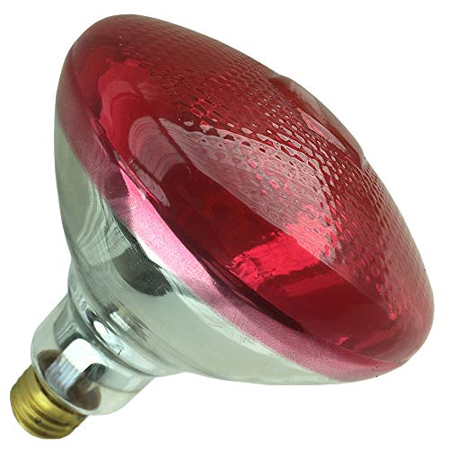 Havells 5003044 (03044), 100BR38/RED, 130 Volt, Medium Base, BR38 Red Indoor/Outdoor Reflector Flood Lamp (6 Pack)