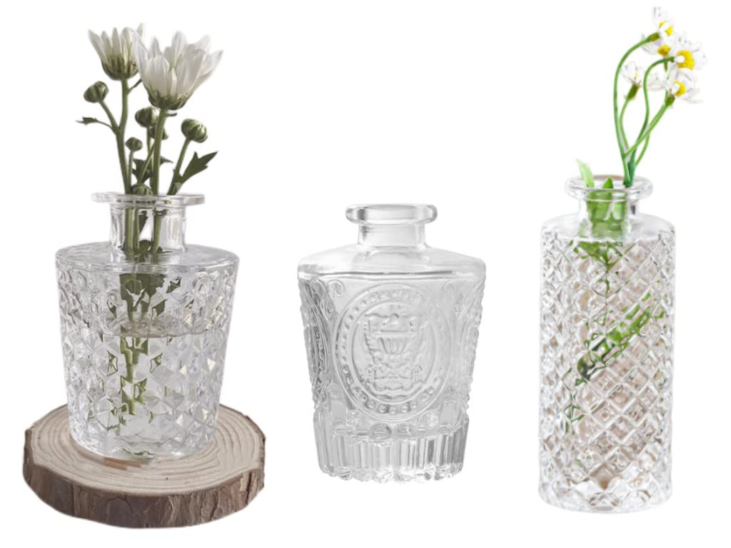 Set of 3 Mini Clear Glass Vase,Small Flower Bud Vase Hydroponics Planter Decorative for Flower,Table,Party,Home,Centerpieces(Clear 2)