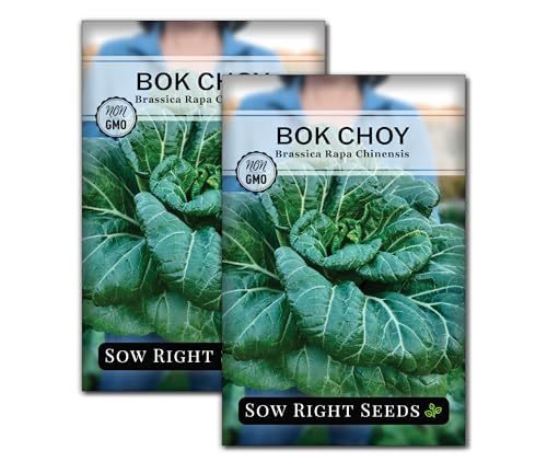 Sow Right Seeds - Bok Choy Seeds for Planting - Pak Choi or Chinese Cabbage - Non-GMO Heirloom Variety - Fresh Asian Greens in Your Home Vegetable Garden - Grow Outdoors or Indoors in Hydroponics (2)