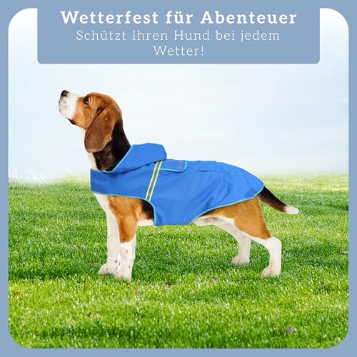 Bella & Balu Hunderegenmantel - Wasserdichter Hundemantel mit Kapuze und Reflektoren für trockene, sichere Gassigänge, den Hundespielplatz und den Urlaub mit Hund (S - Blau)