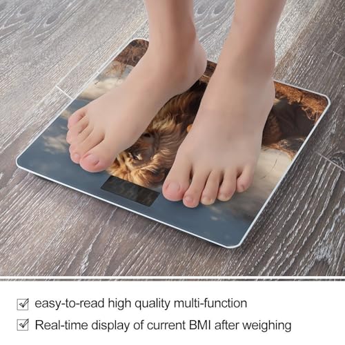 Báscula Digital de Baño Two Lions 400 lb Capacidad miniatura 5
