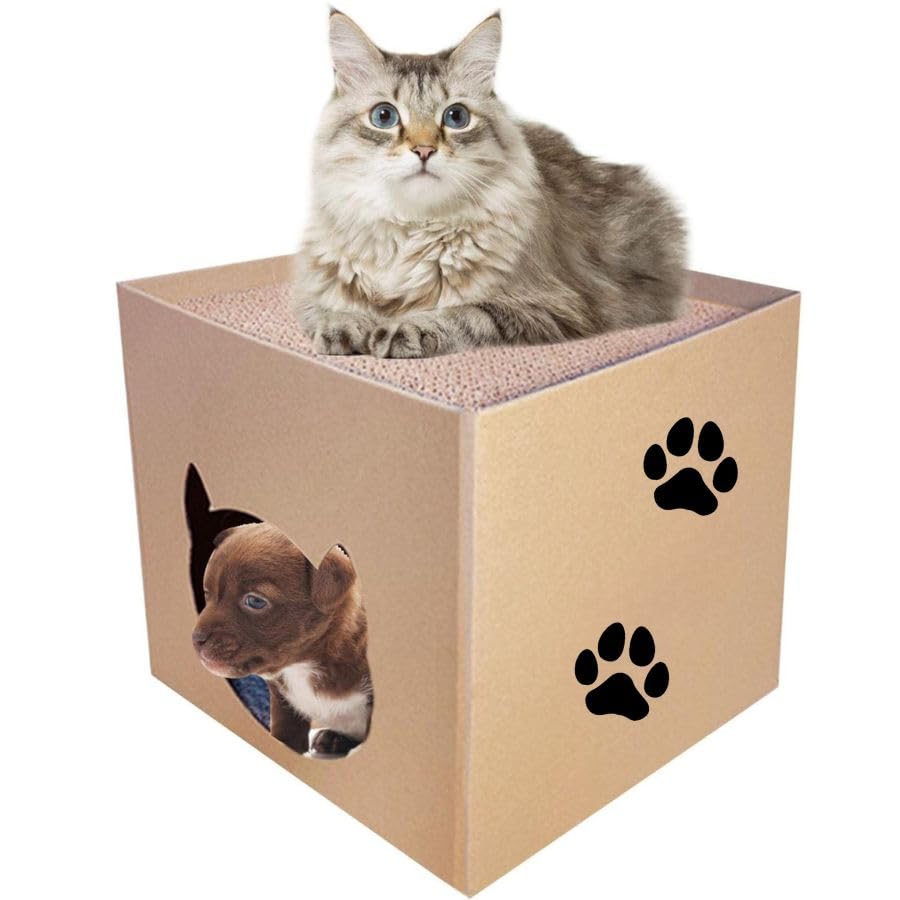 PSK PET MART Square Cat Cave Cardboard Cat House with Entrance and Window, Cat House Plug-in System (B0CR1LT7YR) Amazon Price History, Amazon Price Tracker