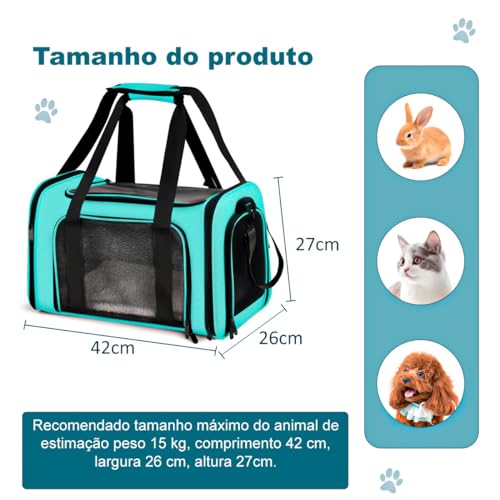 Bolsa de Transporte Para Pet Cachorros e Gatos com Ventilação Viagem Avião Passeio (Verde)