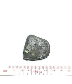 Amazon.co.jp: 青森県産 今別町産 舎利母石 原石 奇石 安山岩