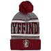 Bioworld Harry Potter Gryffindor Pom Pom Beanie