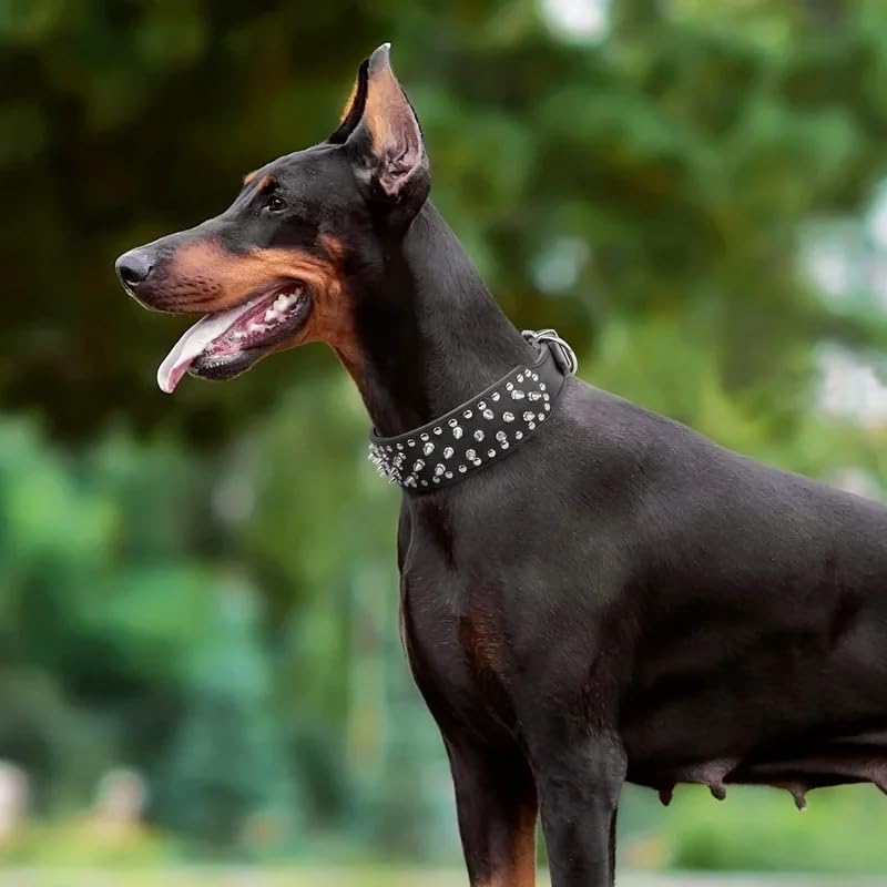 Robustes Echtleder-Halsband Für Mittlere/große Hunde, 5 Cm Breit, Mit Nieten – Für Pitbull, Schäferhund & Co.