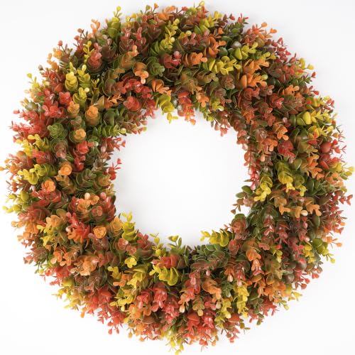 Image of DDHS 24 inch Fall Wreath for Front Door,Artificial Boxwood Autumn Wreath