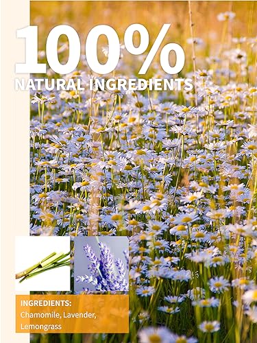 Image of TeeLux Chamomile Lavender Tea, Chamomile with Lavender and Lemongrass, Caffeine Free, Hot & Iced Tea, Soothing Aroma, 4oz