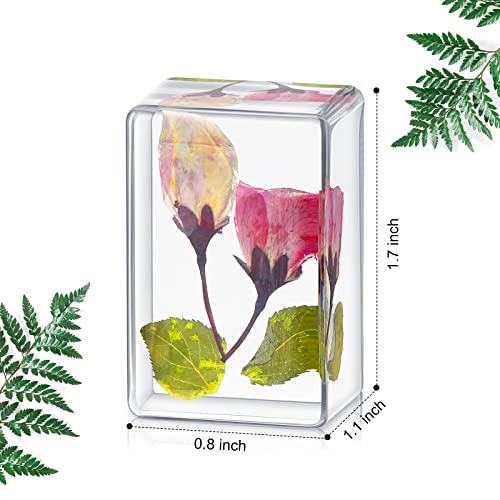 Tessco EW-TESSCO-964 6 Pieces Pressed Flower Paperweight Flower In Resin Specimen Collection For Desk Real Flowers Samples Paper Weights Square Paperweight Cube For Kids Scientific Educational Toy, Office Table Decor thumb #4