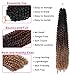 Dorsanee Ombre Passion Twist Hair 22 Inch 7 Packs Water Wave Crochet Hair Long Bohemian Curly Braiding Hair for Butterfly Locs, Faux Locs, Boho Style Spring Twist Crochet Braids (1B/30/27#)