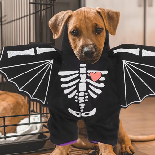 Disfraz para perro Halloween Murciélago 51x41cm miniatura 4