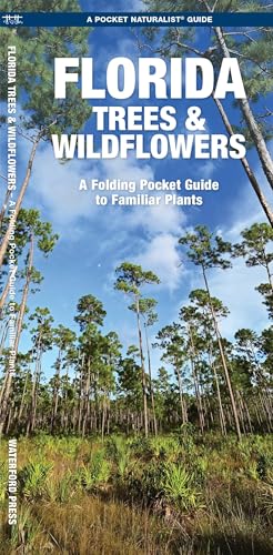 Florida Trees & Wildflowers (Nature Observation North America)