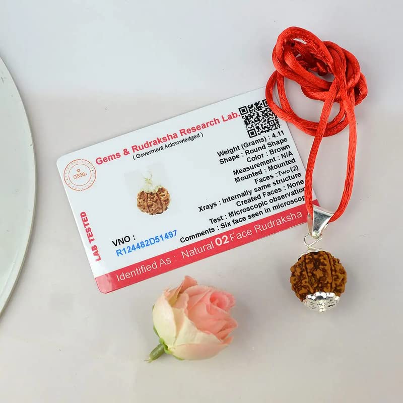 Aleafa Armlet Presents 2 Mukhi Rudraksha/Two Faced Rudraksha Pendant Original Rudraksha Locket (Color Brown) #Aport-01254