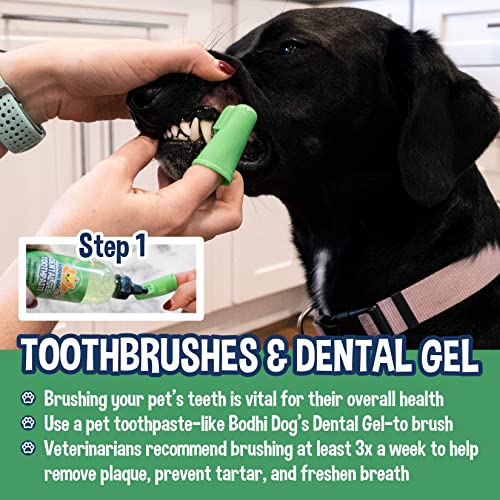 Bodhi Dog Pet Dental Gel - Toothpaste for Dogs & Cats - Plaque Remover & Breath Freshener - Thicker Formula - Safe & Non-Toxic - Helps Prevent Tartar Build-Up - Made in USA (8 Fl Oz)