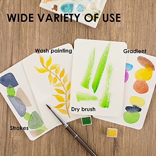 Grabie Travel Watercolor Paint Set, Watercolor Paints, 12 Colors, Painting Set, Deluxe Travel Set, Art Supplies For Painting, Great Watercolor Set For Artists, Amateur Hobbyists And Painting #TOP5