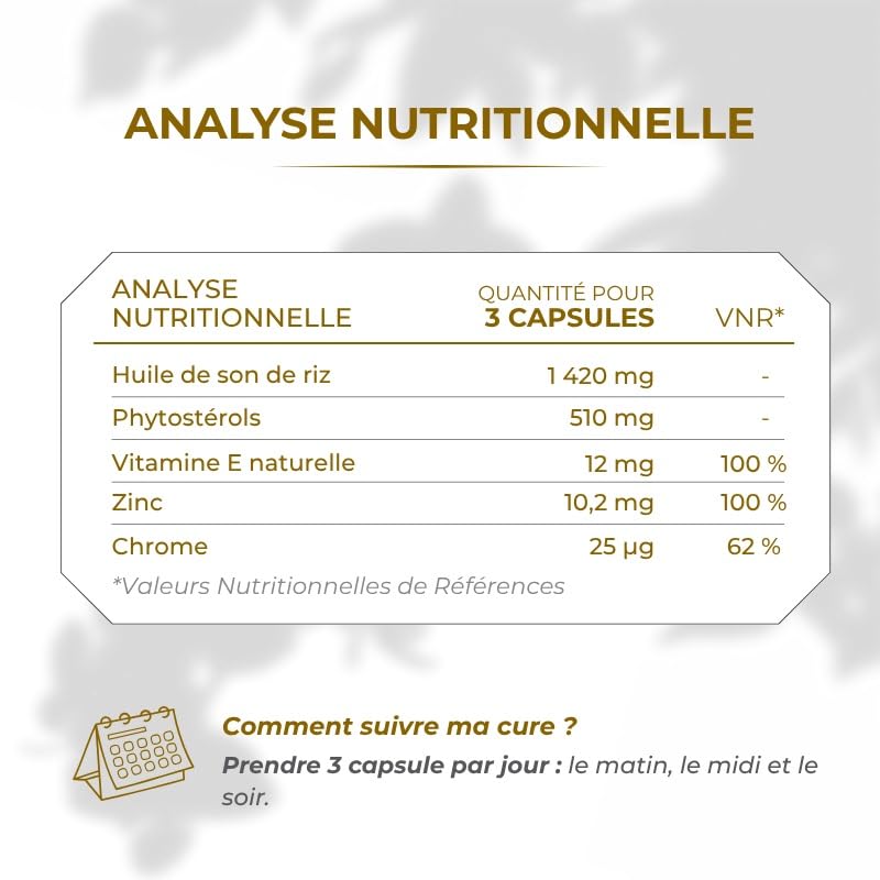 LT Laboratoire LipOryz - Huile de Son de riz - 180 Gélules - Equilibre lipidique - Fabriqué en France