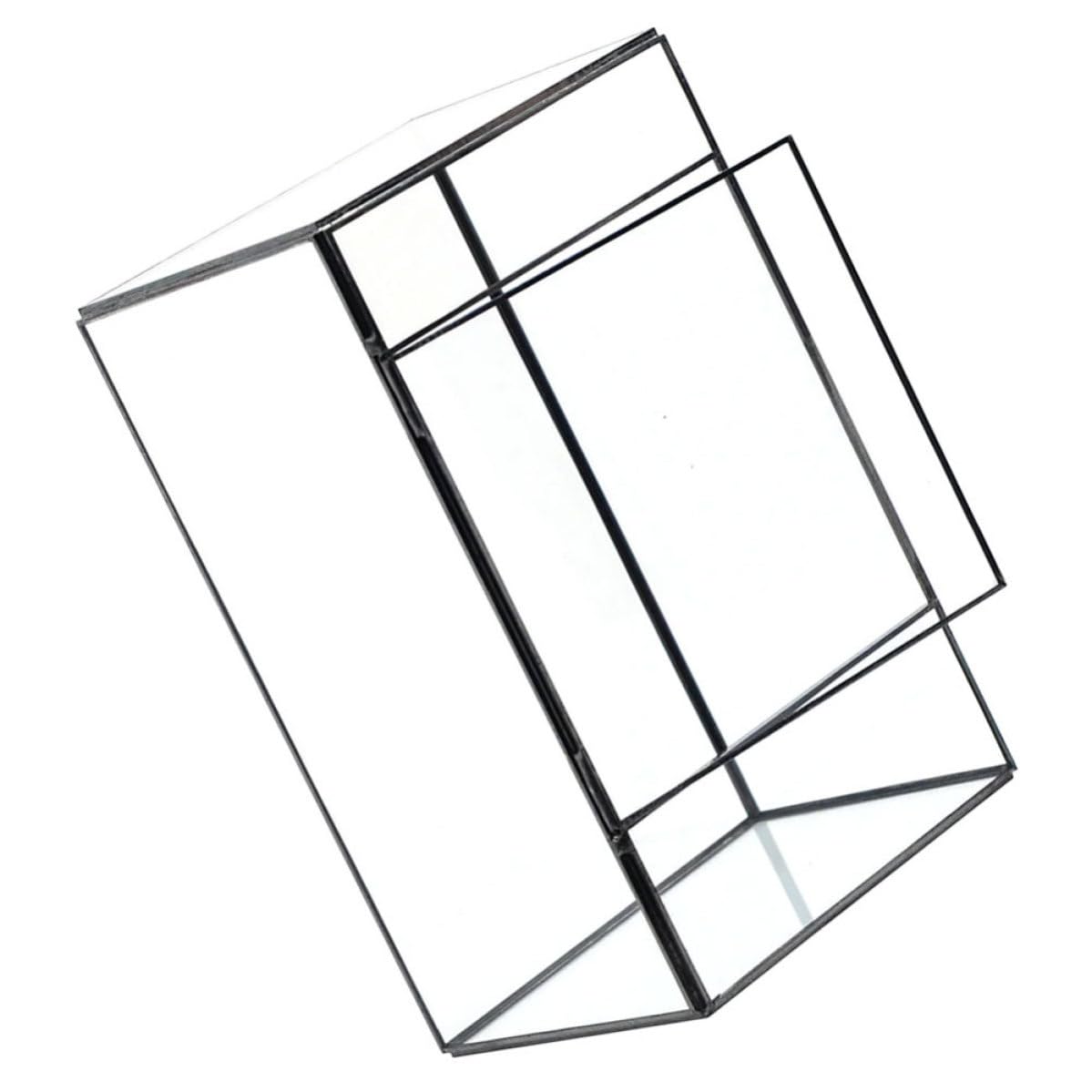 IMIKEYA Kreatives Glas Pflanzenterrarium aus Robustem Glas und Zinn Kleines Terrarium für Sukkulenten und Moos Tischdeko für Büro und Patio Modernes Design