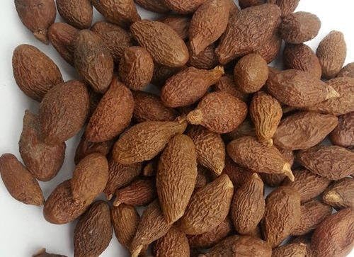 Dry Niranjan phal Niranjanphal China Fruit Malva Nuts Sterculia lychnophora - 100gm