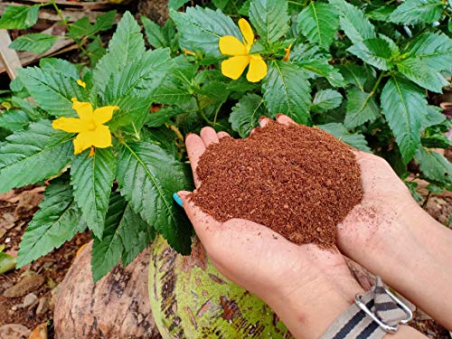Fjiro Coco | Premium 100% Organic Coconut Coir With Low Ec & Ph Potting Substrate Soil For Plants | Block 11Lbs #TOP1