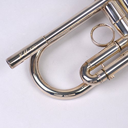 XO エックスオー SD-GBS トランペット B♭ マウスピース付き XO SD-GBS トランペット B♭ ゴールドブラス 銀メッキ仕上げ