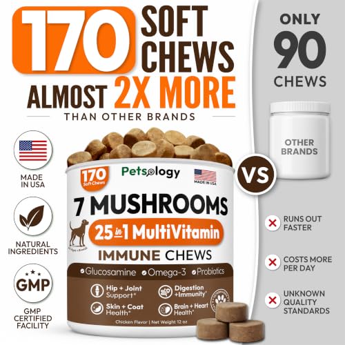 Image of (2 Pack) Turkey Tail Mushroom for Dogs - 340 Chews - Mushrooms for Dogs