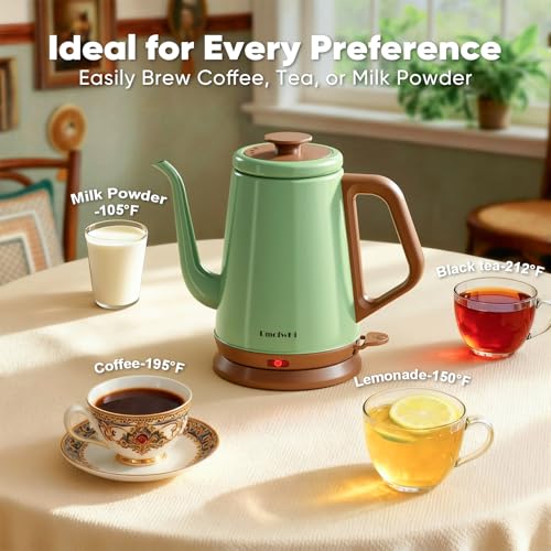 DmofwHi 1.0L Stainless Steel Kettle