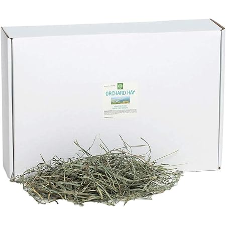 Small Pet Select Orchard Grass Hay Pet Food, 5 Lb.