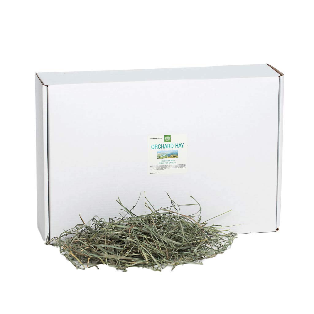 Small Pet Select Orchard Grass hay pet Food