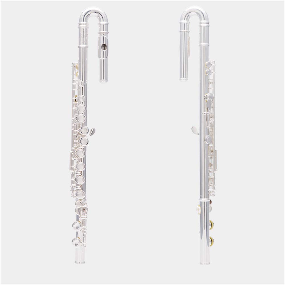 Flauta para niños Principiantes Conjunto de Instrumentos de Concierto de Flauta Plateada Musical de Plata de Alto Grado (Color : Silver, Size : One Size)