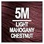Light Chestnut