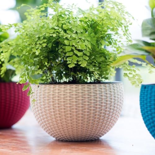 Image of Go Hooked Pots | Plastic | Hanging Pot | White | Pot Diameter- 7.1 Inch | Pot Height-4.8 Inch | Pot Thickness-3 mm | Chain Length-13 inch Approx. | 4 Pieces
