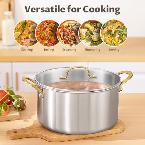 image for BEZIA 6 Quart 3-Ply Stainless Steel Stockpot, Soup Pot with Lid in Ful