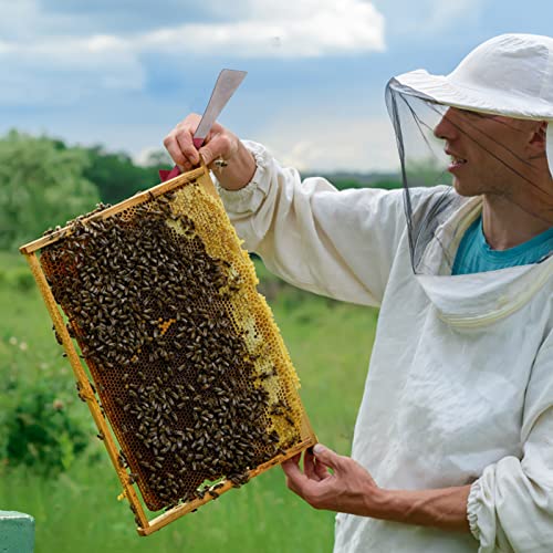 MONCAP 2 Stück Imkerei Bienenstock Schaber Bienenkorb Rahmen Griff Lifter mit Holzgriff Edelstahl Schaber Bienenstock… – Bild 4