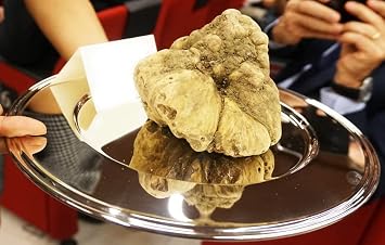 White Truffle Mushrooms Spores Tuber magnatum Non GMO Heirloom 100 Seeds