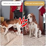 HENGBIRD B0DGTFTY61 lato 3