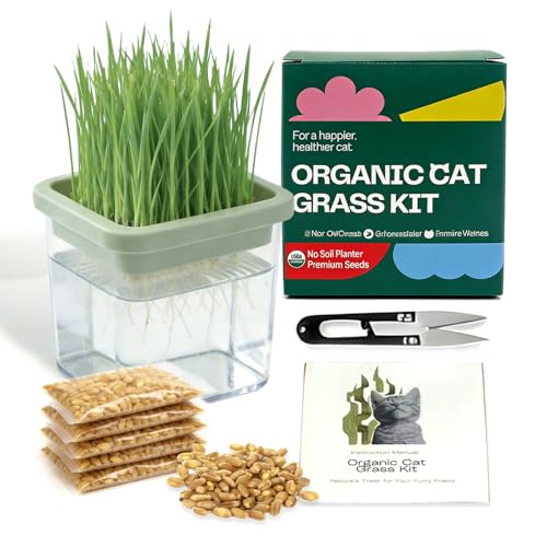 Hydroponic Cat Grass Kit