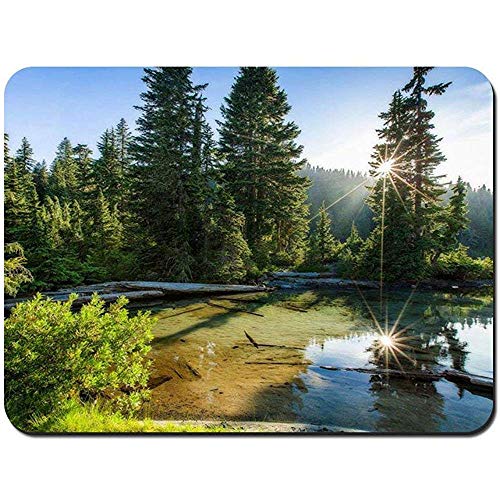 Preisvergleich Produktbild Mouse Pad Mount Rainier National Park Bundesstaat Washington - Customized Rectangle Rutschfeste Gummi Mousepad Gaming Mouse Pad 25X30Cm
